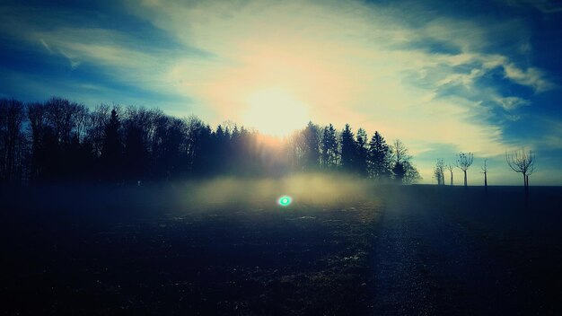 Photo sun shining through trees