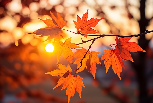 真っ赤な紅葉に差し込む木漏れ日 紅葉の森 赤とオレンジの紅葉 生成AI