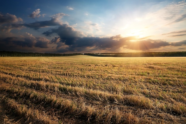 Sunbeams through clouds over the autumn field