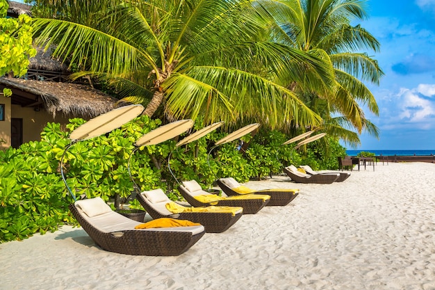 Sunbed on tropical beach in the Maldives