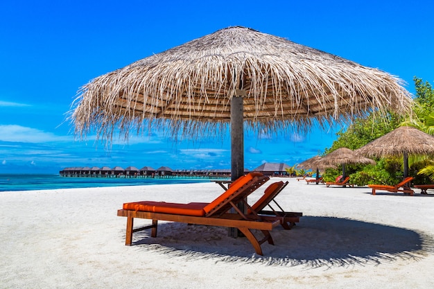 Sunbed and umbrella in the Maldives