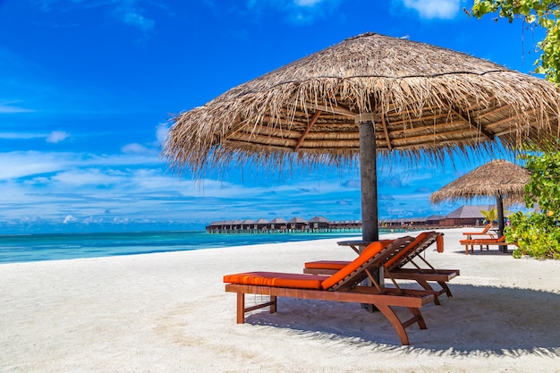 Sunbed and umbrella in the Maldives