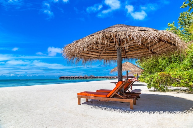 Sunbed and umbrella on tropical beach in the Maldives