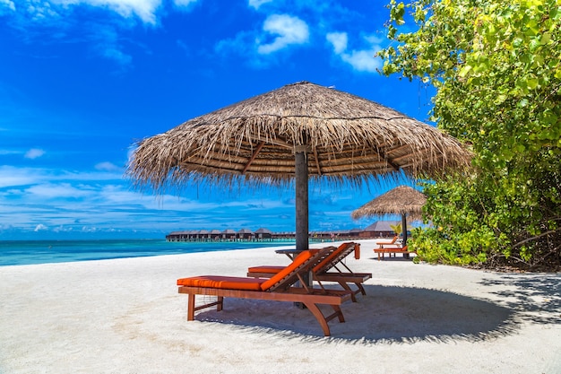 Sunbed and umbrella on tropical beach in the Maldives