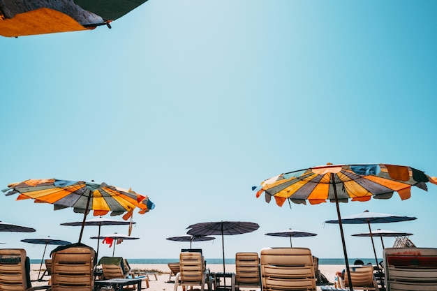 Sunbeds on tropical beach with calm sky