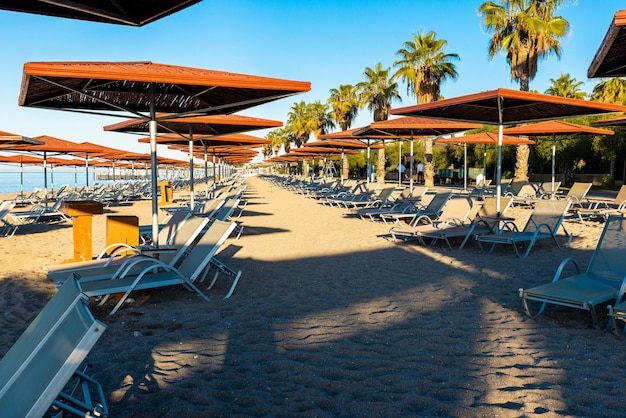 Sunbeds and umbrellas on the sandy beach in Luxury tourist resort