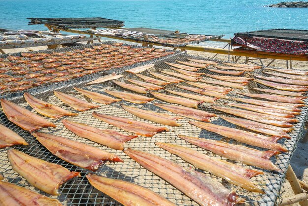 写真 漁村 で の 太陽 に 乾燥 さ れ た 魚 と 揚げ た 魚