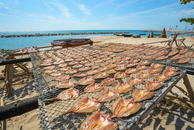写真 漁村 で の 太陽 に 乾燥 さ れ た 魚 と 揚げ た 魚