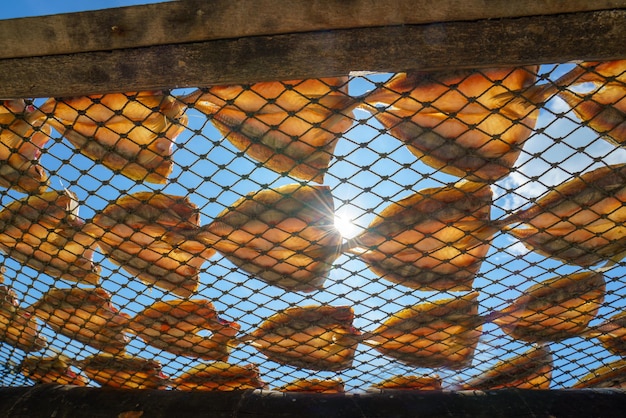 写真 漁村 で の 太陽 に 乾燥 さ れ た 魚 と 揚げ た 魚