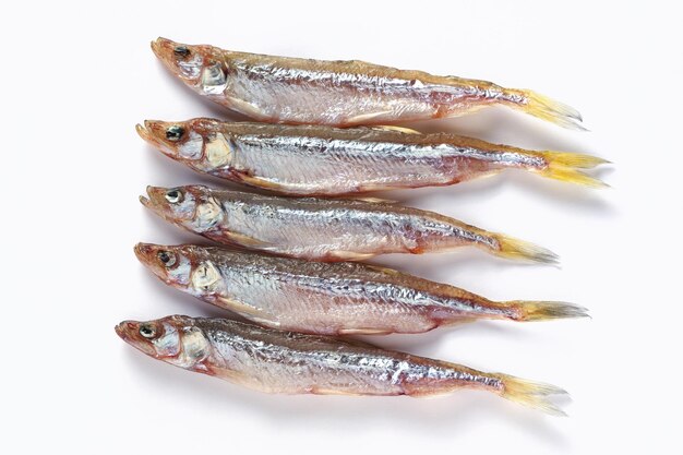 Sundried capelin fish