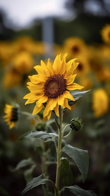 A sunflower in a field of sunflowers generative ai