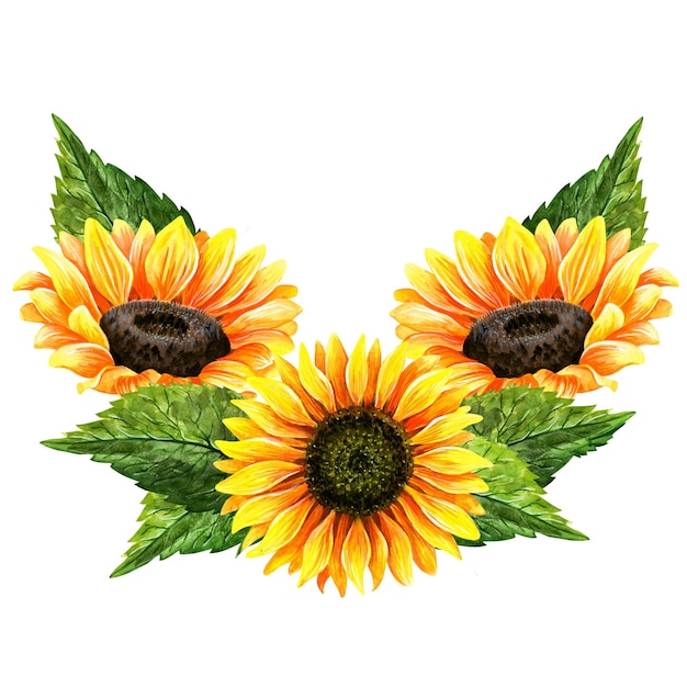 夏の芝生に蝶がいている日<unk>の花と灌<unk>箱とバスケット