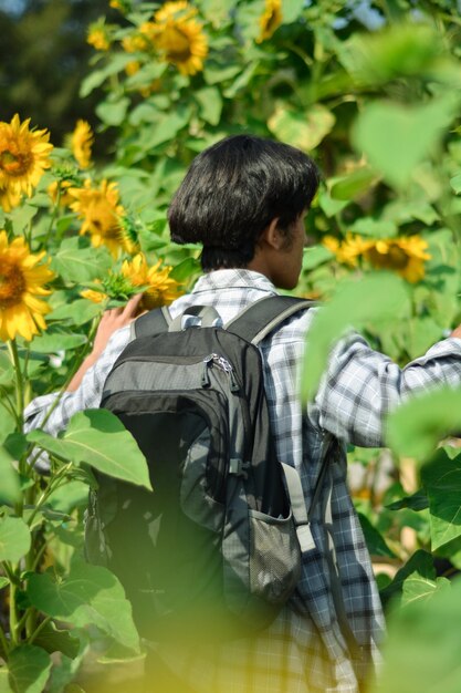 Photo sunflower garden on the coast of samas yogyakarta