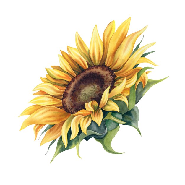 秋の花を手で描いた水彩画 農村風の植物花の絵 招待状やポストカードのクリパート