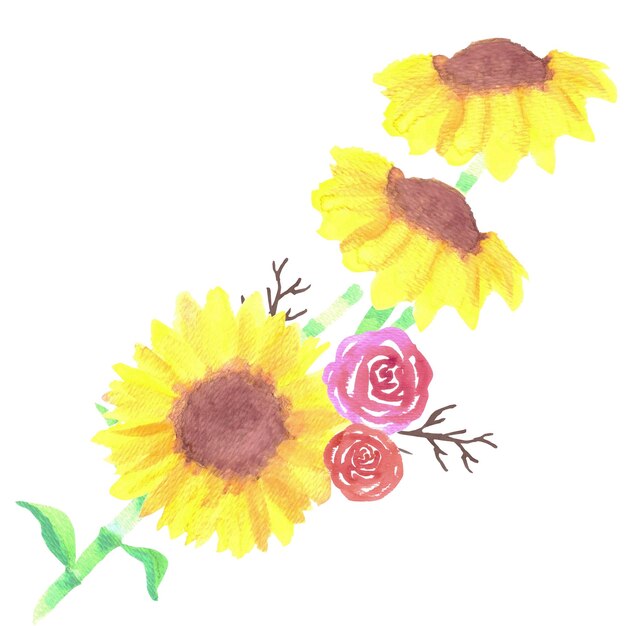 Photo sunflower and roses bouquet with twigs watercolor medium