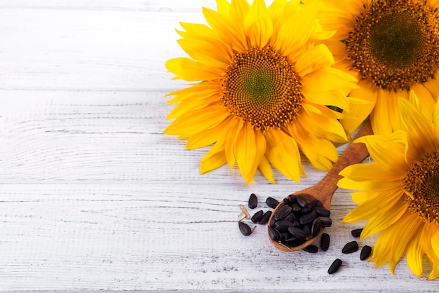 Sunflower seed on wooden spoon