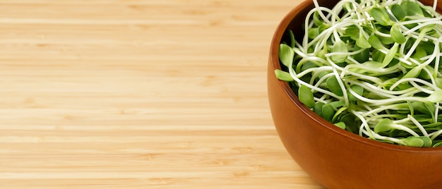 Sunflower seedling in wood cup