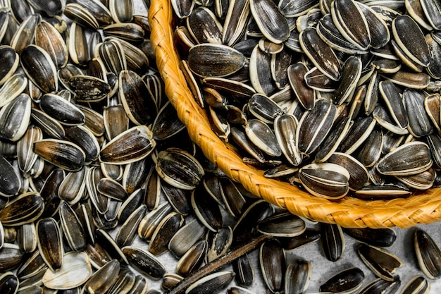 Sunflower seeds in the basket