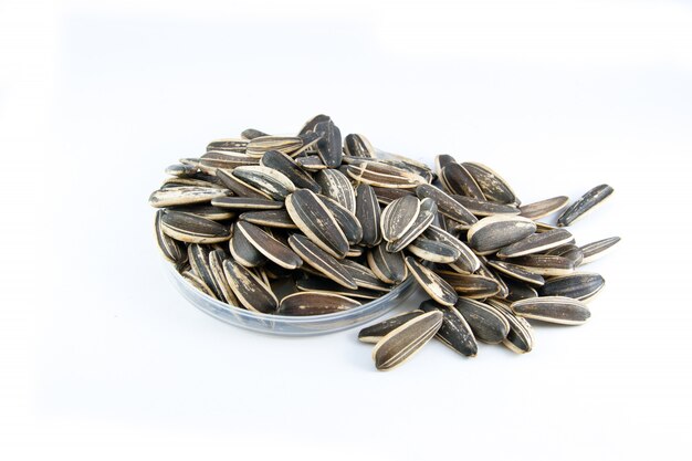 sunflower seeds circle