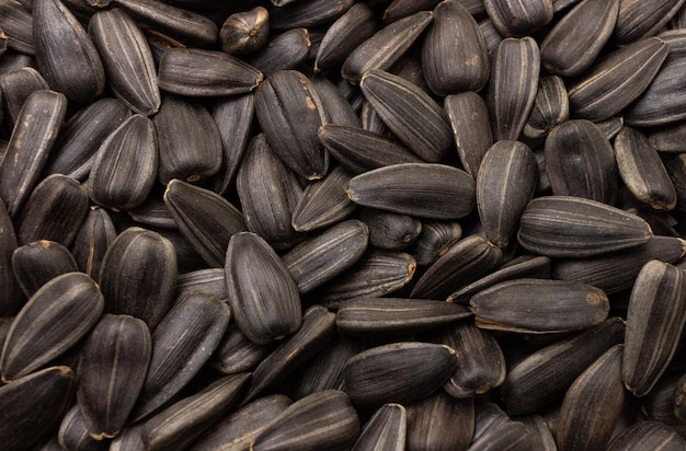 sunflower seeds close up for background