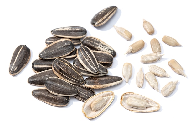 Sunflower Seeds isolated. Helianthus seed