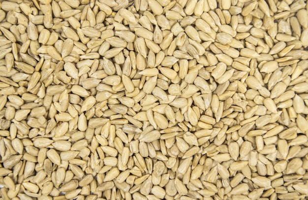 Sunflower seeds peeled sunflower seeds for the whole photo Background