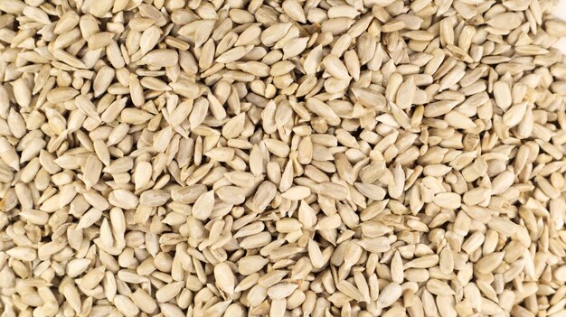 Sunflower seeds peeled without shell Background of peeled not roasted seeds