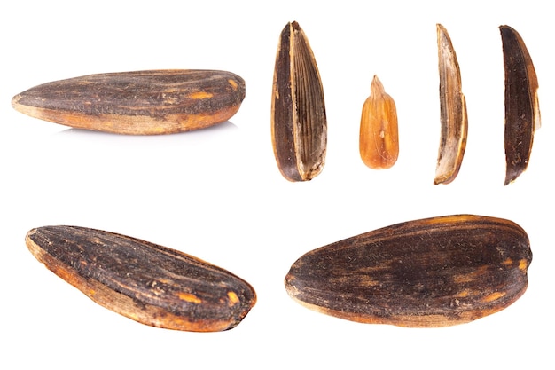 sunflower seeds pile isolated on white background