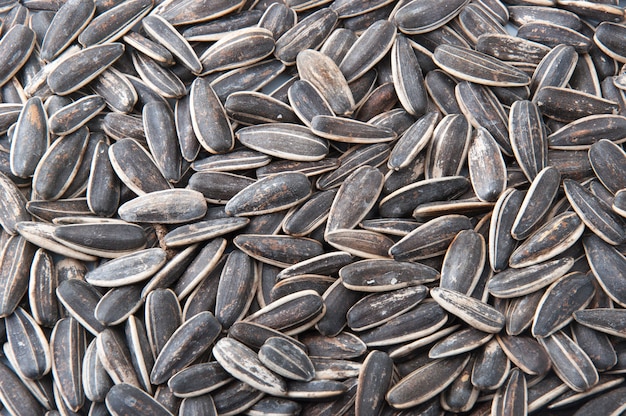 Sunflower Seeds Texture