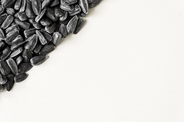 Sunflower seeds on a white background. Copy space. View from above.