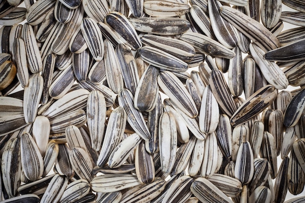 sunflower seeds on white background.