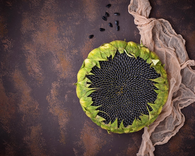 Sunflower with seeds. Top view