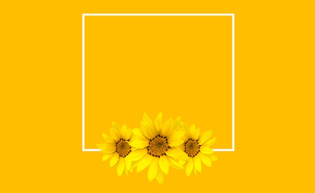 Sunflowers at the bottom of a frame