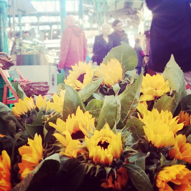 Photo sunflowers displayed at market