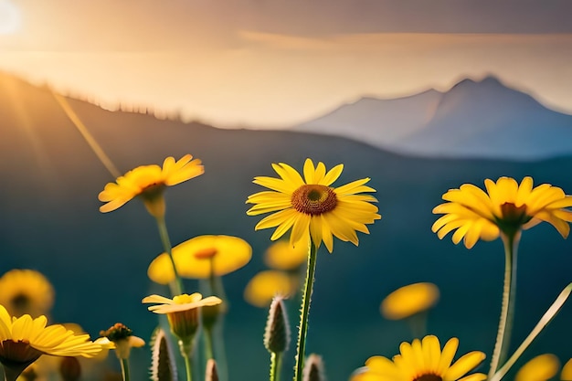 Sunflowers in front of a mountain