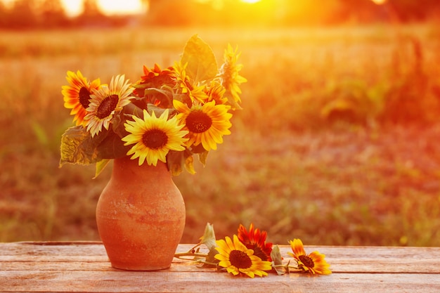 Sunflowers in jug at sunset