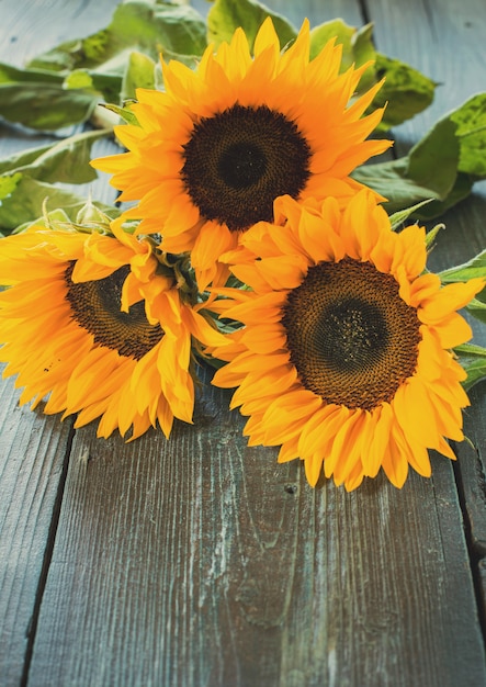 Sunflowers on table