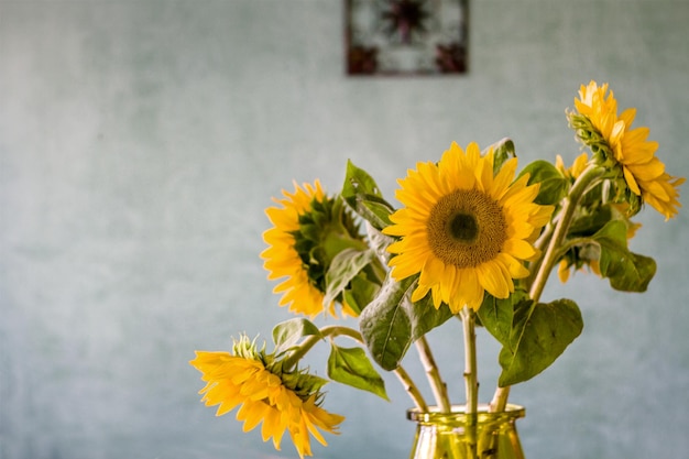 家の壁に置かれた花瓶の中の日<unk>