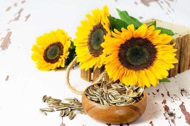 Sunflowers in the wooden rustic box, sunflower seeds in the bowl, on the white vintage background.