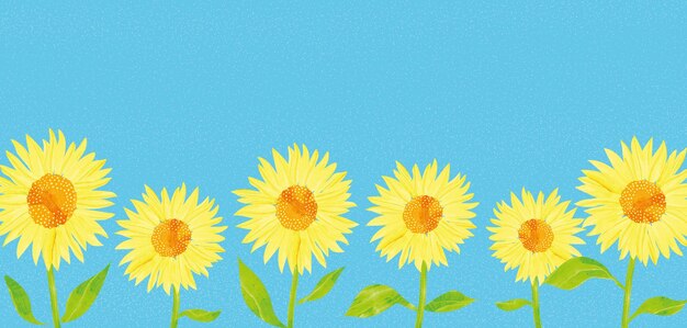Photo sunflowers yellow and blue banner background national flag colors ukraine botanical illustration