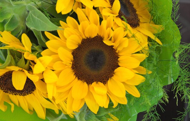 Sunflowers