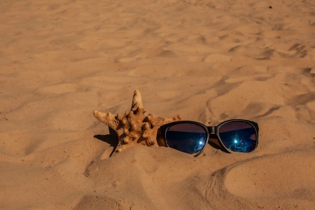 Sunglasses lying on tropical sand beach party white towel on
desk and red glasses with seashells sunglasses on the beach
beautiful sea view wallpaper background