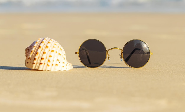 Sunglasses and scallops on a beautiful summer beach.