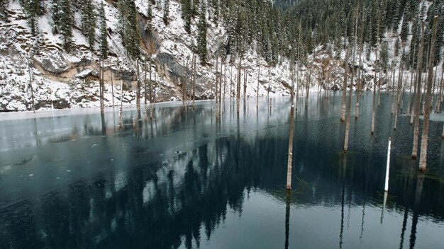 산 호수에 가라앉은 숲. 물은 거울과 같습니다. 나무 줄기가 물에서 나옵니다.
