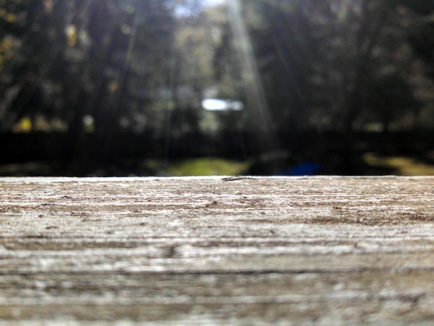 Foto la luce del sole che cade su una panchina di legno