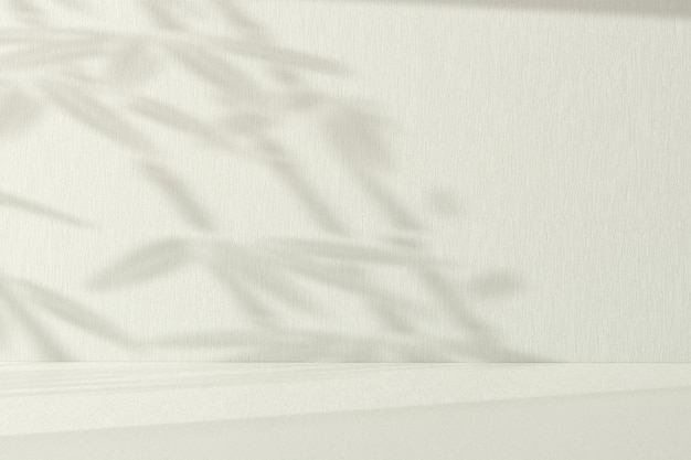 Sunlight from the window with leaves shadow on the wall for product presentation