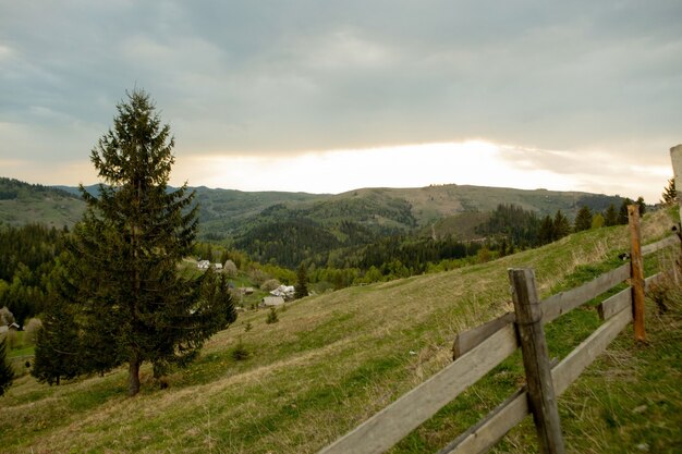 Sunlight over the mountains with green trees