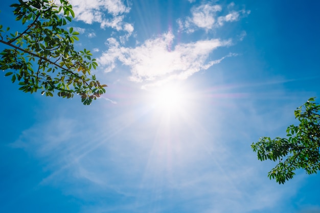 写真 正午に空の太陽の光の背景。