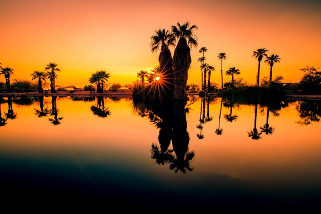 Sunlight refelects off the water in a pond at papgo park in phoenix arizona