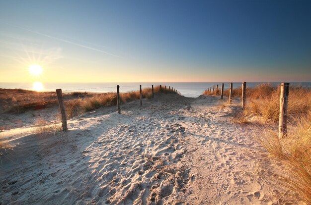 Sunlight over sand path to north sea beach